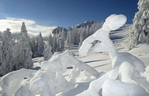Ferienwohnung Völkl - Foto 23