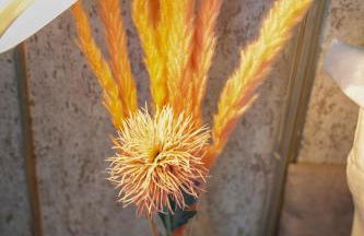 Stilvoll Apt - Balkon - Netflix - Foto 10