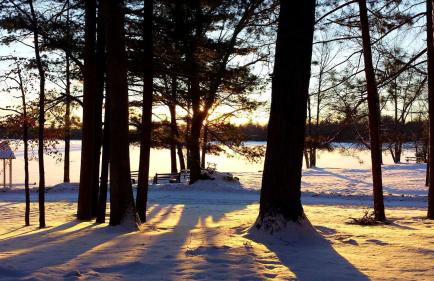 Cozy Lakeside Cabin in Manistee National Forest, Michigan - Foto 4