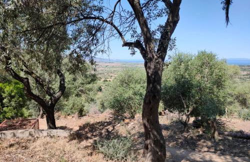 Villa del Palmeto - Foto 28