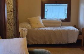 Stirpe nel Bosco - Fiocco - Foto 18