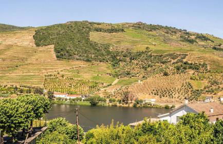 BDouro Accommodation - Foto 41