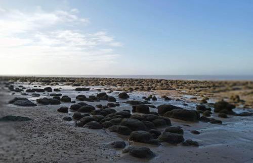 Driftwood Cottage pets go free WiFi included - Foto 23