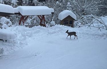 Apartamenty Kadłubek - Foto 9