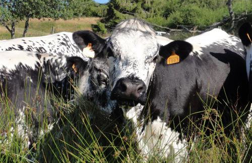 Gite le grenier du roc - Foto 24