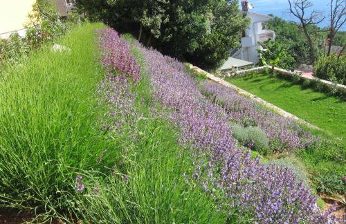 Villa Katarina - Foto 29