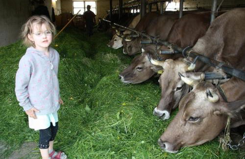 Andreashof - Foto 14