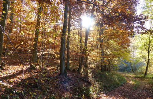 Ferienhaus Fischbachtal - Foto 27