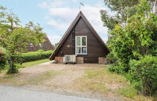 Kingfisher - Photo 3