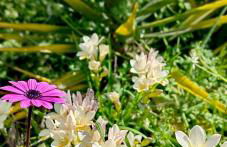 Allin home - Foto 40