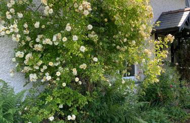 Perthi Uchaf - Foto 36