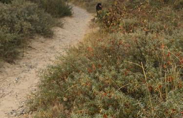 le gîte de Martine en Baie de Somme - Foto 71