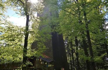 Ferienwohnung 32 im Ferienland Sonnenwald - Bayerischer Wald - Foto 19