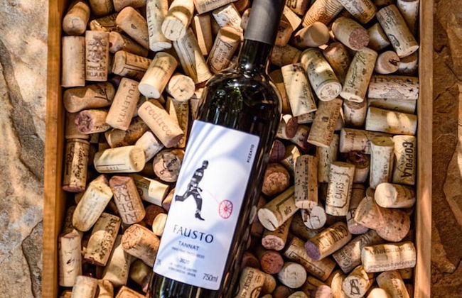 Hotel Recanto da Cachoeira - Foto 27