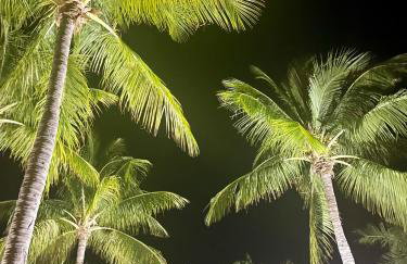 Anglers Reef Vacation Rental - Foto 6