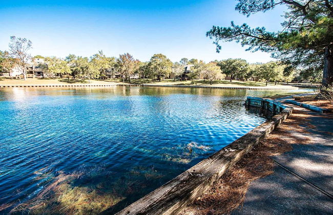 Waterwood Resort and Sand Castle Village by VRHost - Foto 39