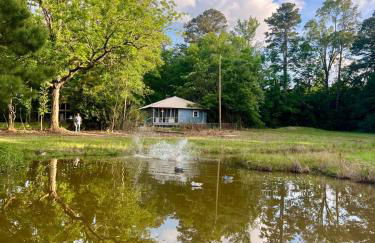Country Retreat with ponds-views-porches & pups - Foto 62