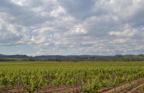 Casa Cal Tòfol - Foto 23