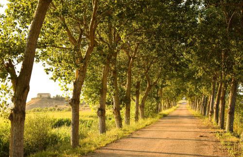 Descubre Somontano - Photo 34