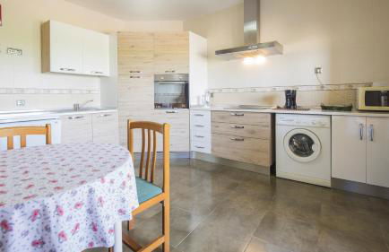 Flor de la Jara - Foto 49