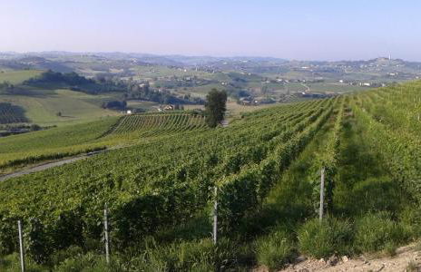 Casa Vacanze Sweet Dreams - Foto 8