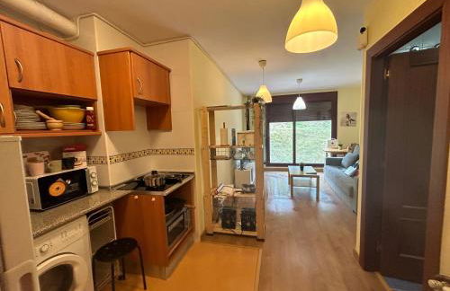 Apartamento Asturias - Foto 43