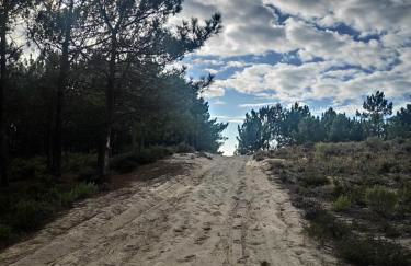 Surya's Bungalow - Foto 49