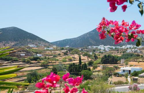 Eleftheria's House, Exambela, Sifnos - Foto 26