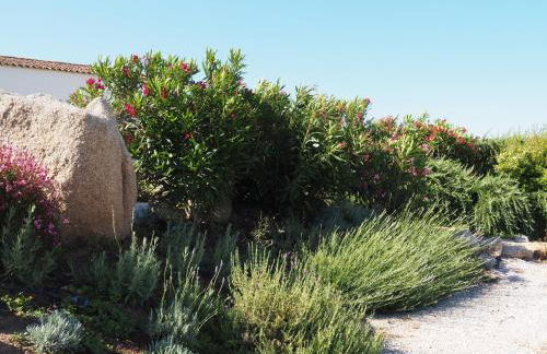 Stazzu Giasti Agriturismo - Photo 69