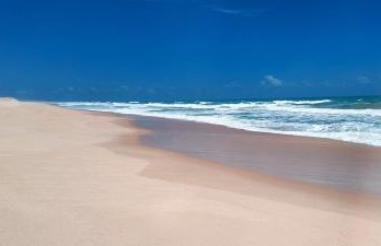 Portal Vida chalé na praia da Taiba - Foto 6