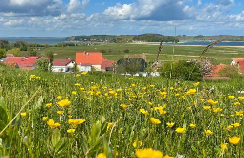 Ferienanlage in Klein Zicker Ferienwohnung 1 - Seeseite - Foto 32
