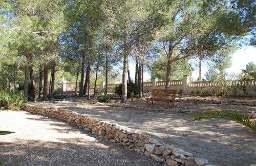 34 Sant Jordi - Foto 33