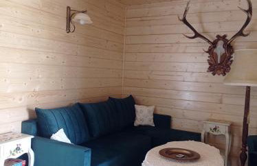 Agroturystyka Przy Siole Budy - Foto 27