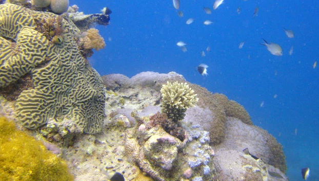 Excursión a la isla de Tumbatu - Foto 3