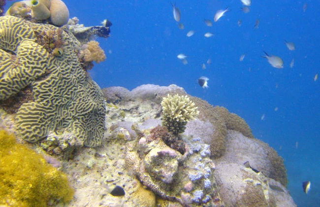 Excursión a la isla de Tumbatu - Foto 3