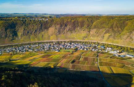 Ferienweingut Gansen Hochgenuss 2 - Foto 18