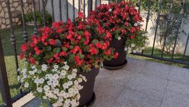 Apartman "Anna" - Foto 4, Garden