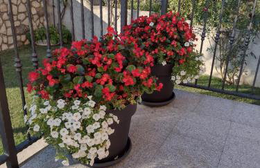 Apartman "Anna" - Foto 4