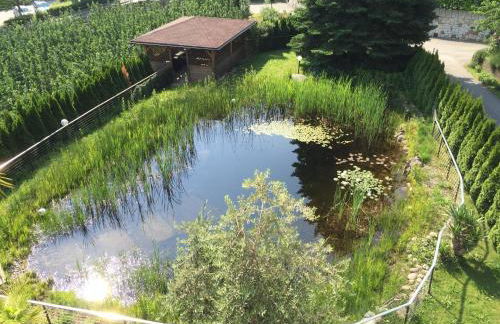 Premium Apartments Faselehof - Foto 42