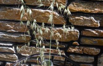 The Backyard Fisherman's House - Foto 25