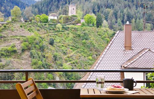 Schwarzwaldraum Schlossblick - Foto 21