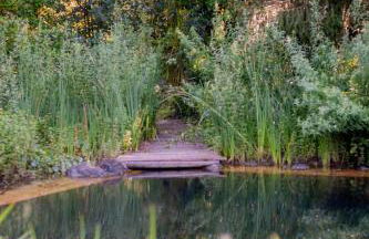 Masia Mas Franch - Foto 16