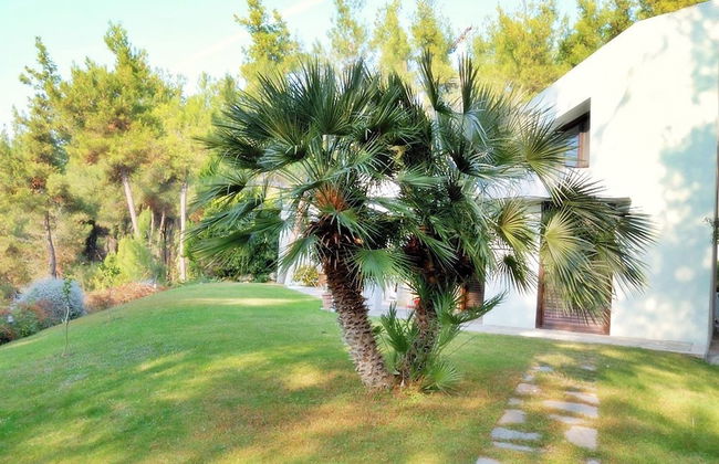 Sani Cape Villas - Stamatiadis - Foto 18