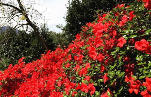 Appartamento vacanze al lago Orta San Giulio - Photo 65