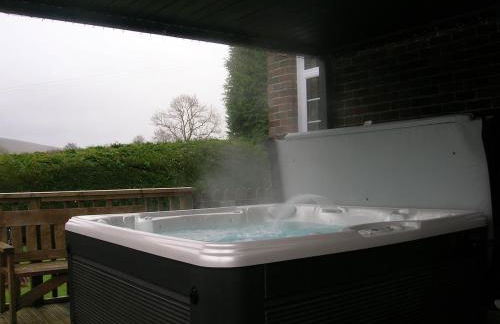 Bevan House with Hot Tub in Mid-Wales - Photo 24