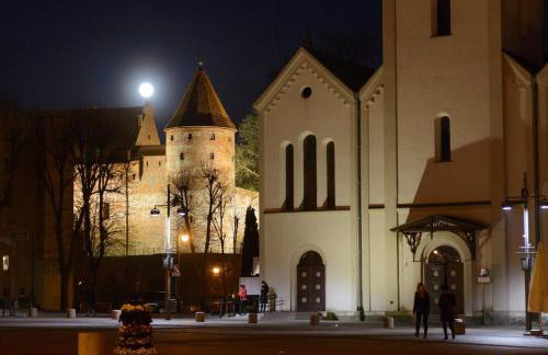 Pensjonat Srebrny Klon - Foto 75