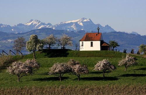 Zum Seglerhafen – Ferienappartement - Foto 10