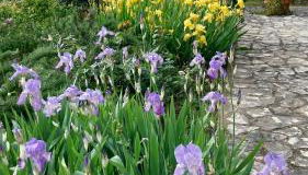 Casa di Giulia (Bambini gratis fino a 6 anni) - Foto 4, Garden