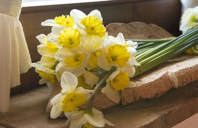 Country House il Ciliegio - Foto 56