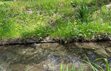 Domki letniskowe pod Brzozami Stella - Photo 36